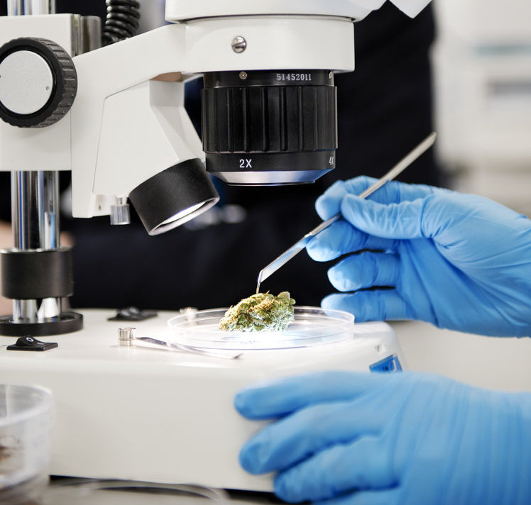 Microscopio en un laboratorio farmacéutico