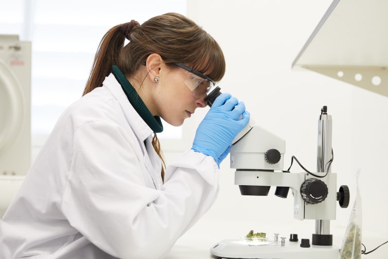 Investigación científica en un laboratorio